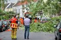 Feuerwehr_Baum   003